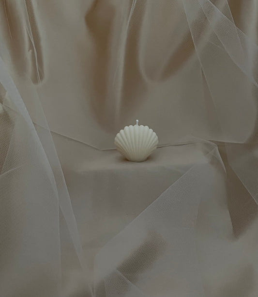 Sea shell